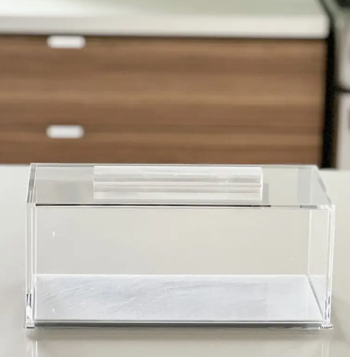 Pearlized Rectangular Cake Dome