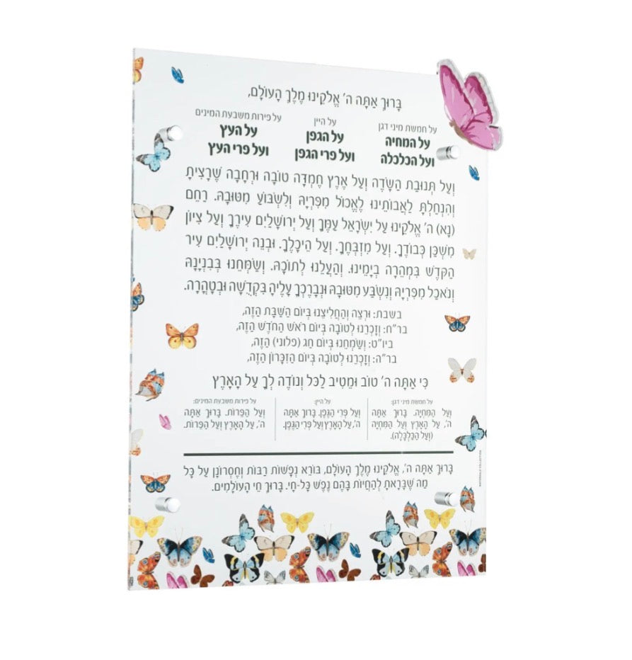 Butterfly Al Hamichya - Edut Mizrach