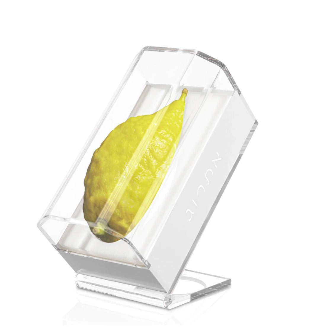 Esrog Stand Box